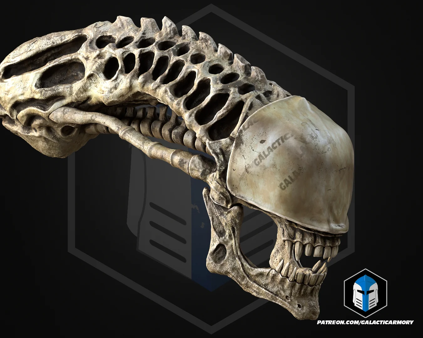 Thumbnail 15